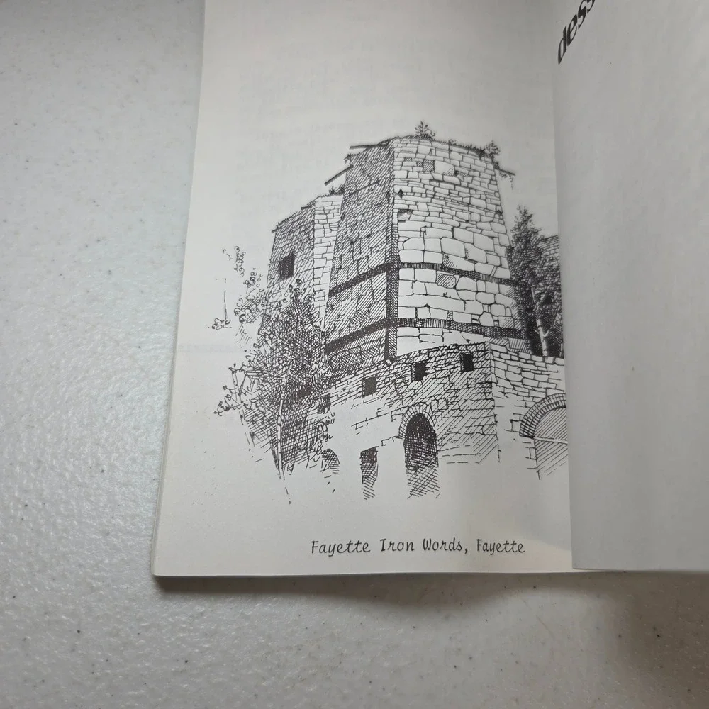 More Michigan Cooking and Other Things Carole Eberly 1st Ed 1981 Fayette Detroit